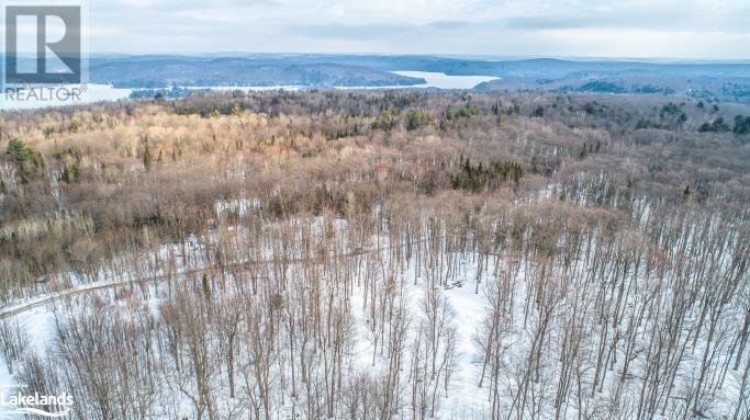 Lot 109 Basshaunt Lake Road, Haliburton, Ontario  K0M 1S0 - Photo 39 - 40547410