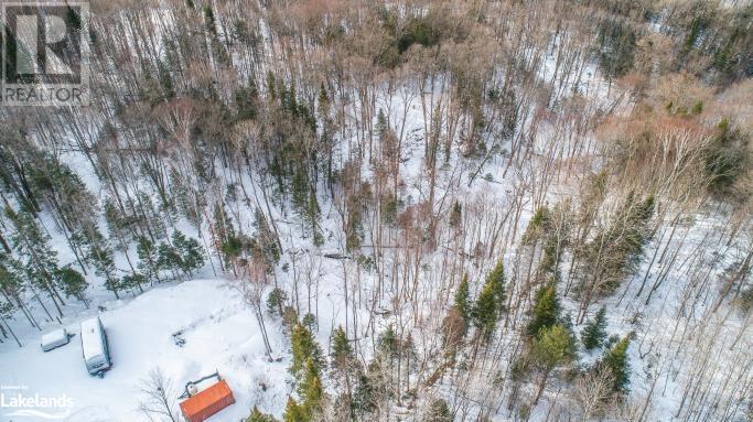 Lot 109 Basshaunt Lake Road, Haliburton, Ontario  K0M 1S0 - Photo 37 - 40547410