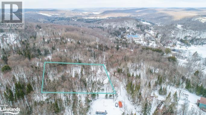 Lot 109 Basshaunt Lake Road, Haliburton, Ontario  K0M 1S0 - Photo 30 - 40547410