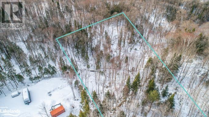 Lot 109 Basshaunt Lake Road, Haliburton, Ontario  K0M 1S0 - Photo 35 - 40547410