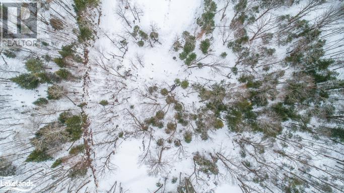 Lot 109 Basshaunt Lake Road, Haliburton, Ontario  K0M 1S0 - Photo 38 - 40547410