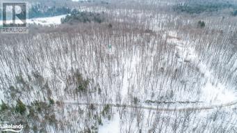 Lot 109 Basshaunt Lake Road, Haliburton, Ontario  K0M 1S0 - Photo 31 - 40547410