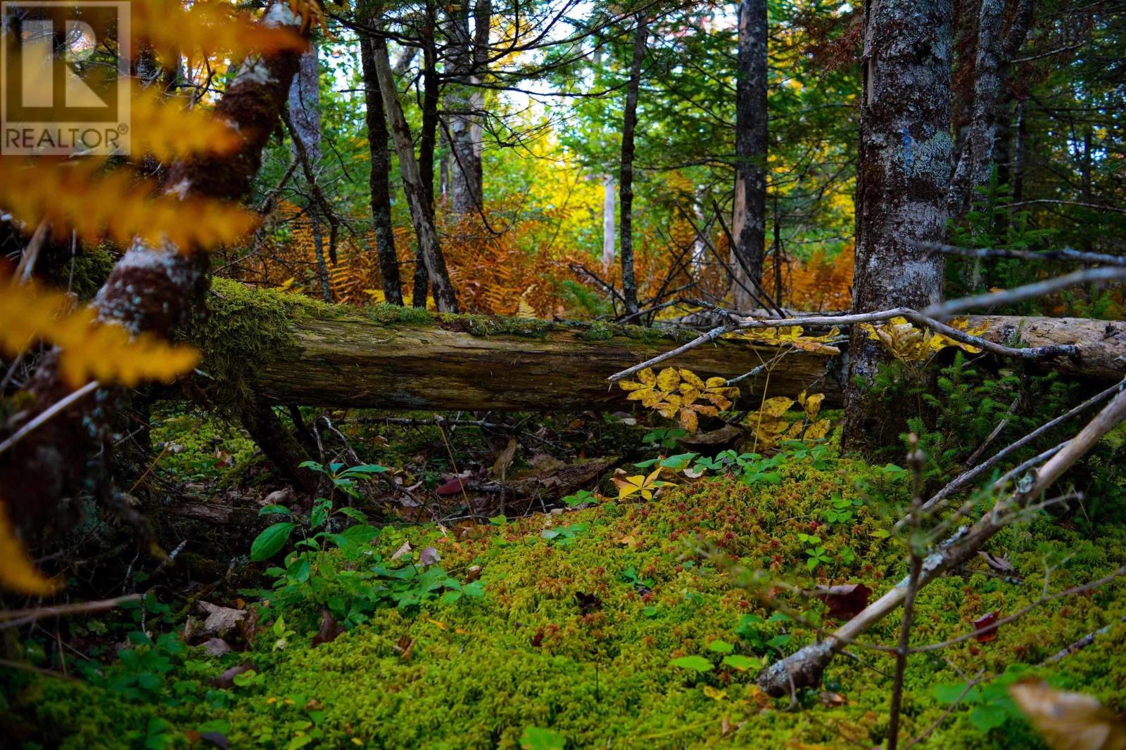 Lot 1 The Grant Preserve, Meaghers Grant, Nova Scotia  B0V 1V0 - Photo 13 - 202403765