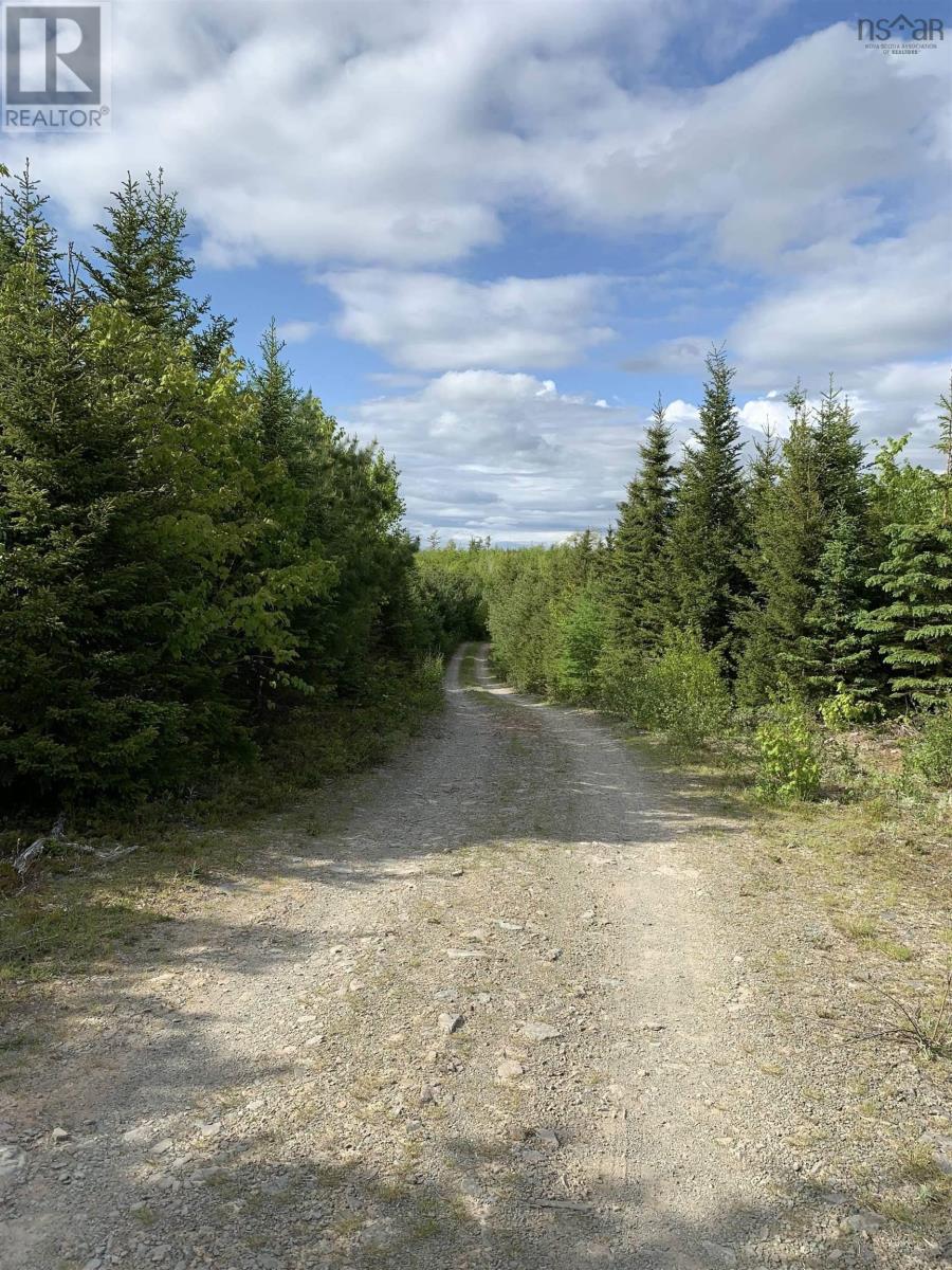 Lot 1 The Grant Preserve, Meaghers Grant, Nova Scotia  B0V 1V0 - Photo 15 - 202403765