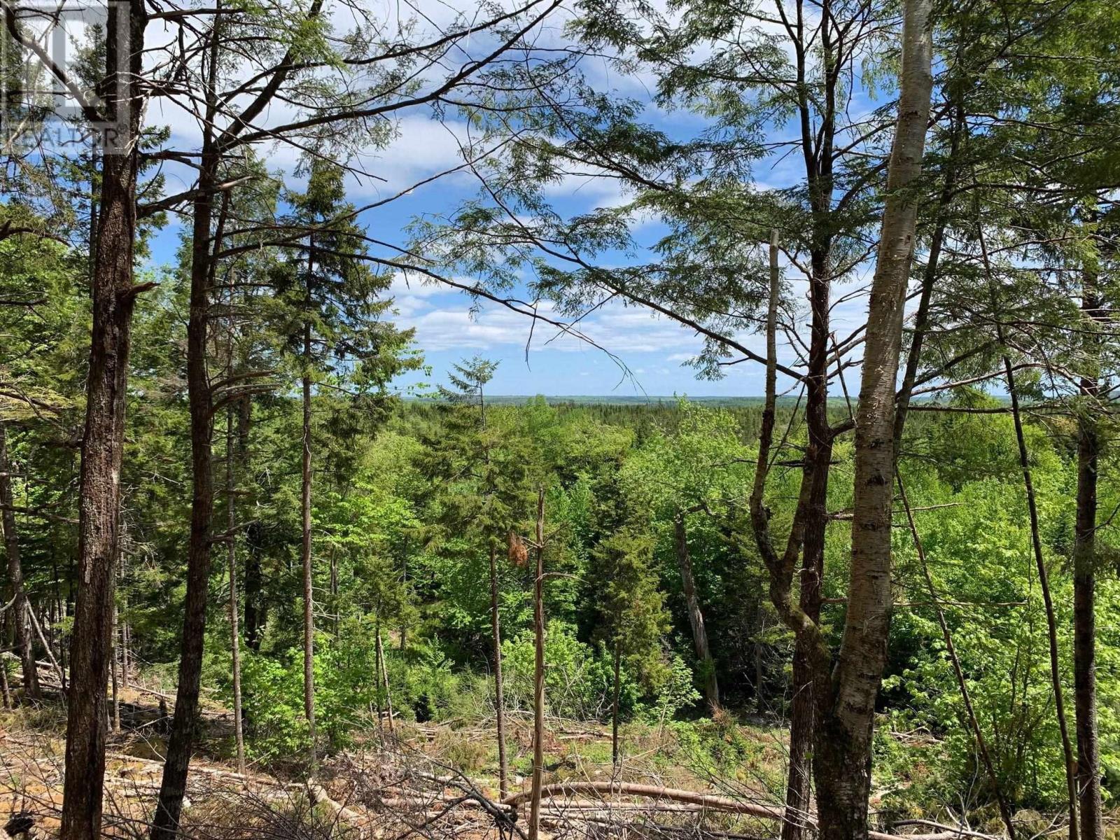 Lot 1 The Grant Preserve, Meaghers Grant, Nova Scotia  B0V 1V0 - Photo 3 - 202403765