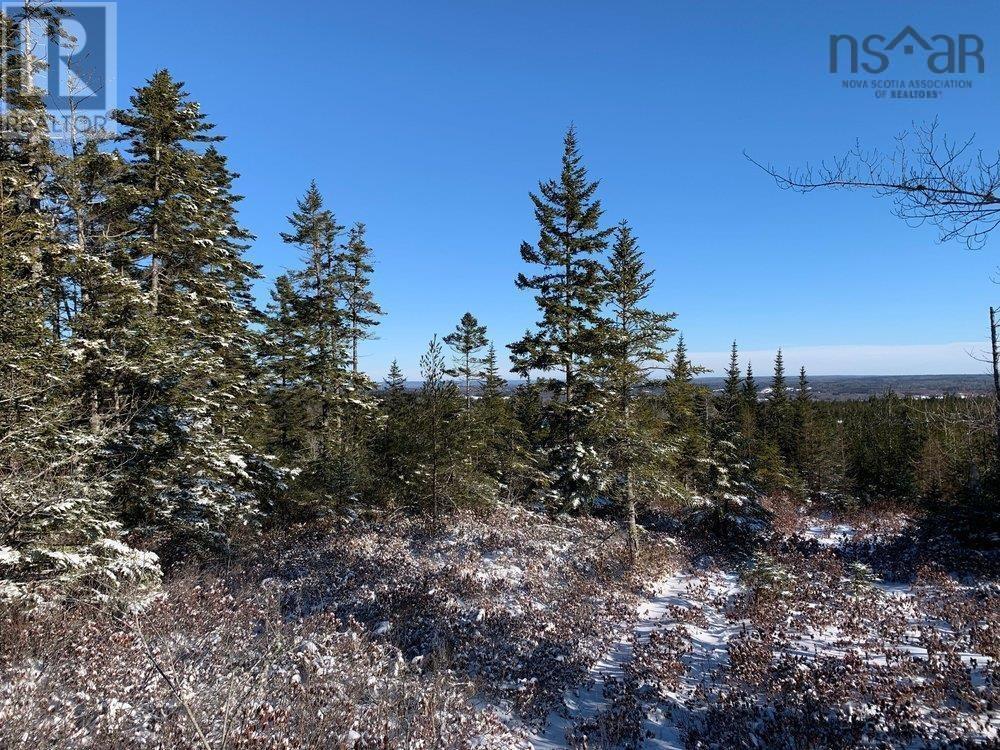 Lot 1 The Grant Preserve, Meaghers Grant, Nova Scotia  B0V 1V0 - Photo 4 - 202403765
