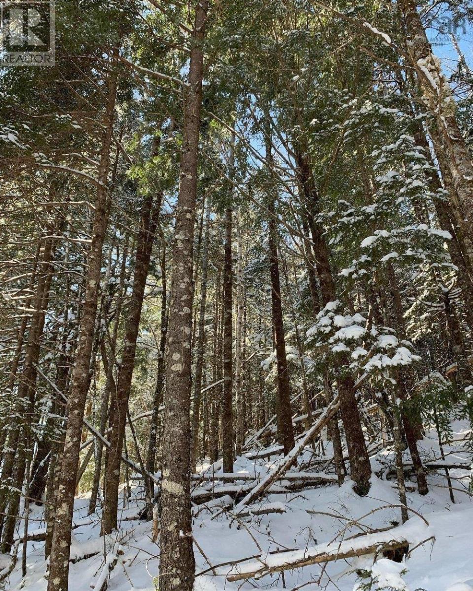 Lot 1 The Grant Preserve, Meaghers Grant, Nova Scotia  B0V 1V0 - Photo 8 - 202403765