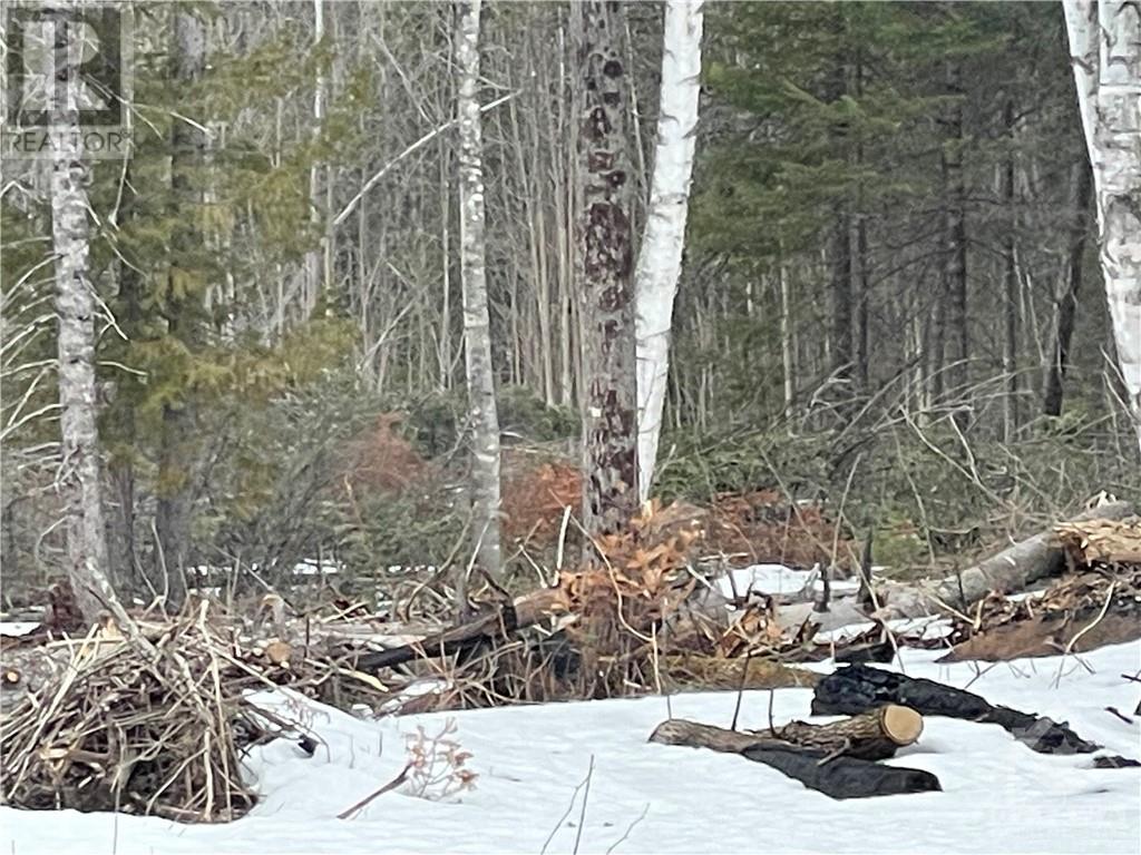 Lot 12-Con10 Barryvale Road, Calabogie, Ontario  K0J 1H0 - Photo 11 - 1379487