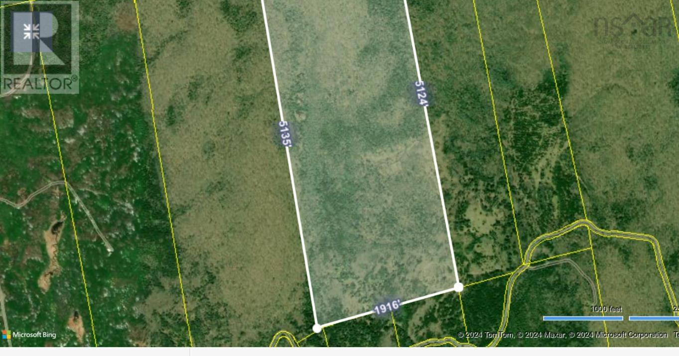 220 Acres River Denys Road, River Denys, Nova Scotia  B0E 2Y0 - Photo 6 - 202403759