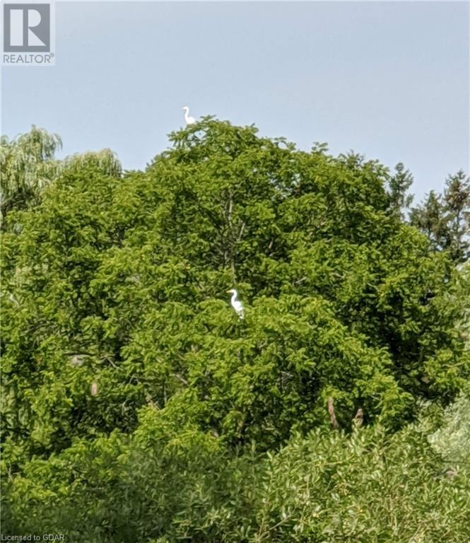 7232 Middlebrook Road, Elora, Ontario  N0B 1S0 - Photo 33 - 40548352