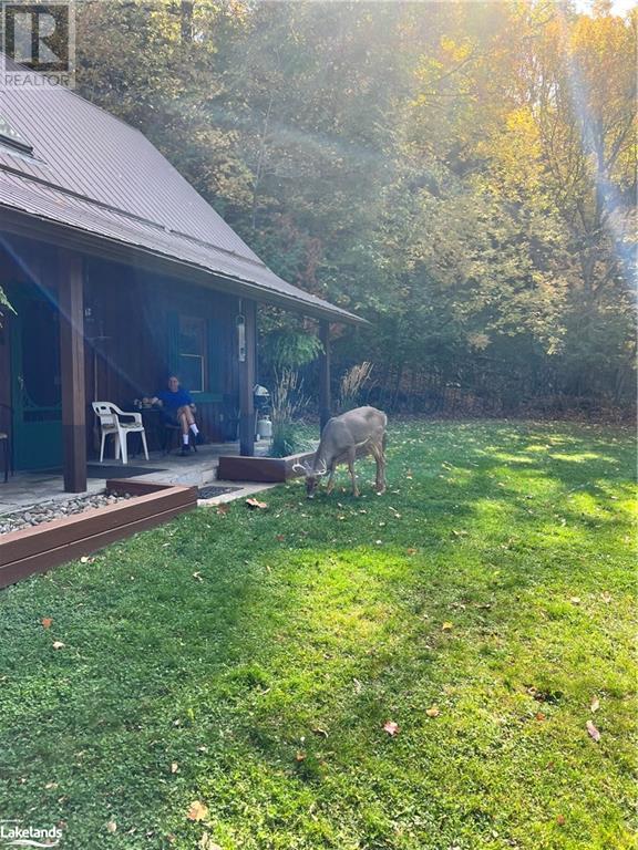 478 Mountain Street, Haliburton, Ontario  K0M 1S0 - Photo 39 - 40548422