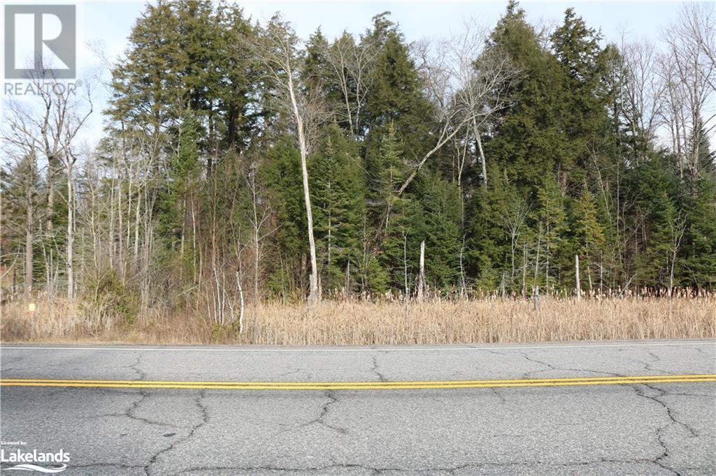 0 118 Highway E, Bracebridge, Ontario  P1L 1X1 - Photo 13 - 40548723