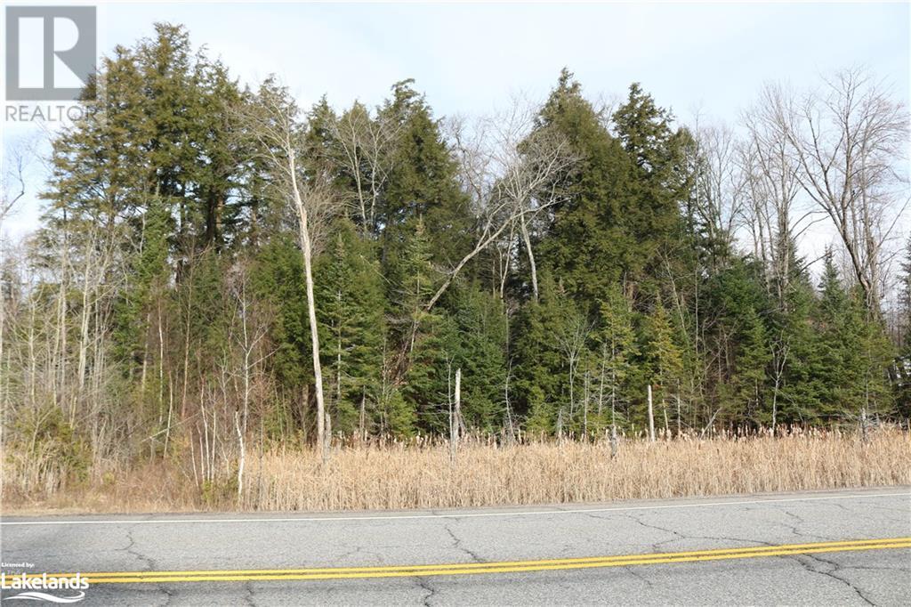 0 118 Highway E, Bracebridge, Ontario  P1L 1X1 - Photo 14 - 40548723