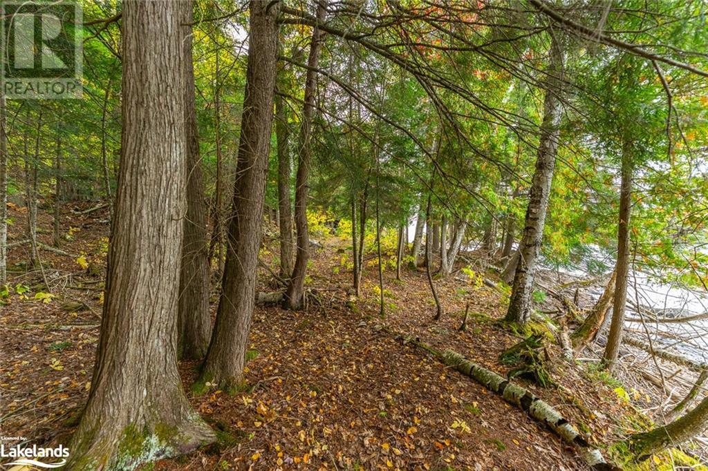1208 Reg's Trail, Dysart, Ontario  K0M 1S0 - Photo 24 - 40548720