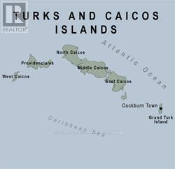 10305 Turks&caicos Island, Turks Caicos Island, Ontario  N0N 0N0 - Photo 36 - Z8111950