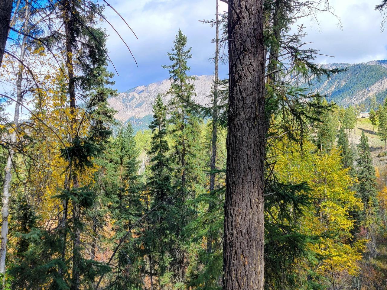 5041 Hewitt Road, Edgewater, British Columbia  V0A 1E0 - Photo 18 - 2475278