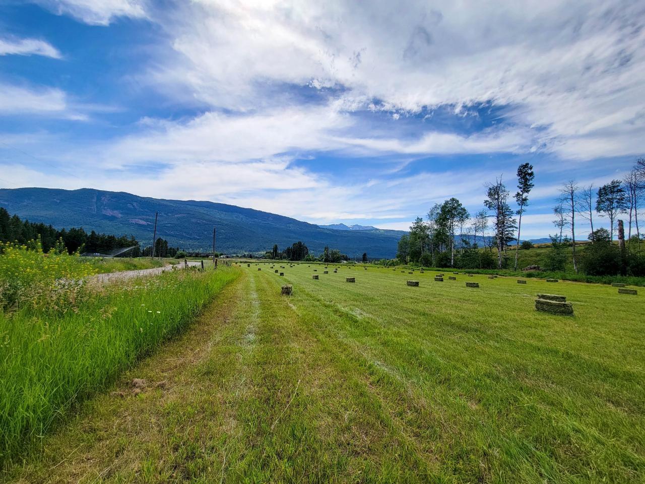 5041 Hewitt Road, Edgewater, British Columbia  V0A 1E0 - Photo 43 - 2475278