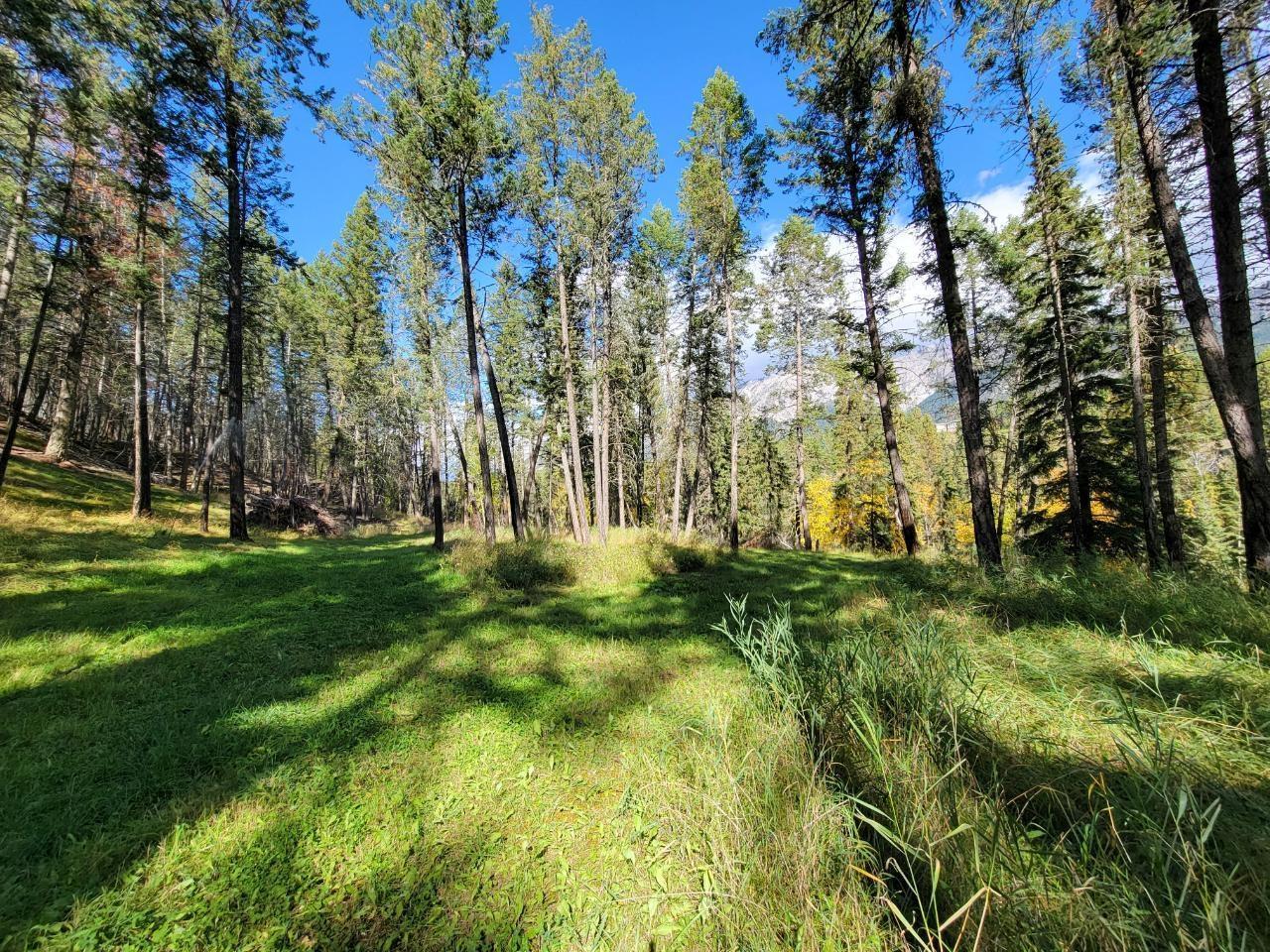 5041 Hewitt Road, Edgewater, British Columbia  V0A 1E0 - Photo 46 - 2475278