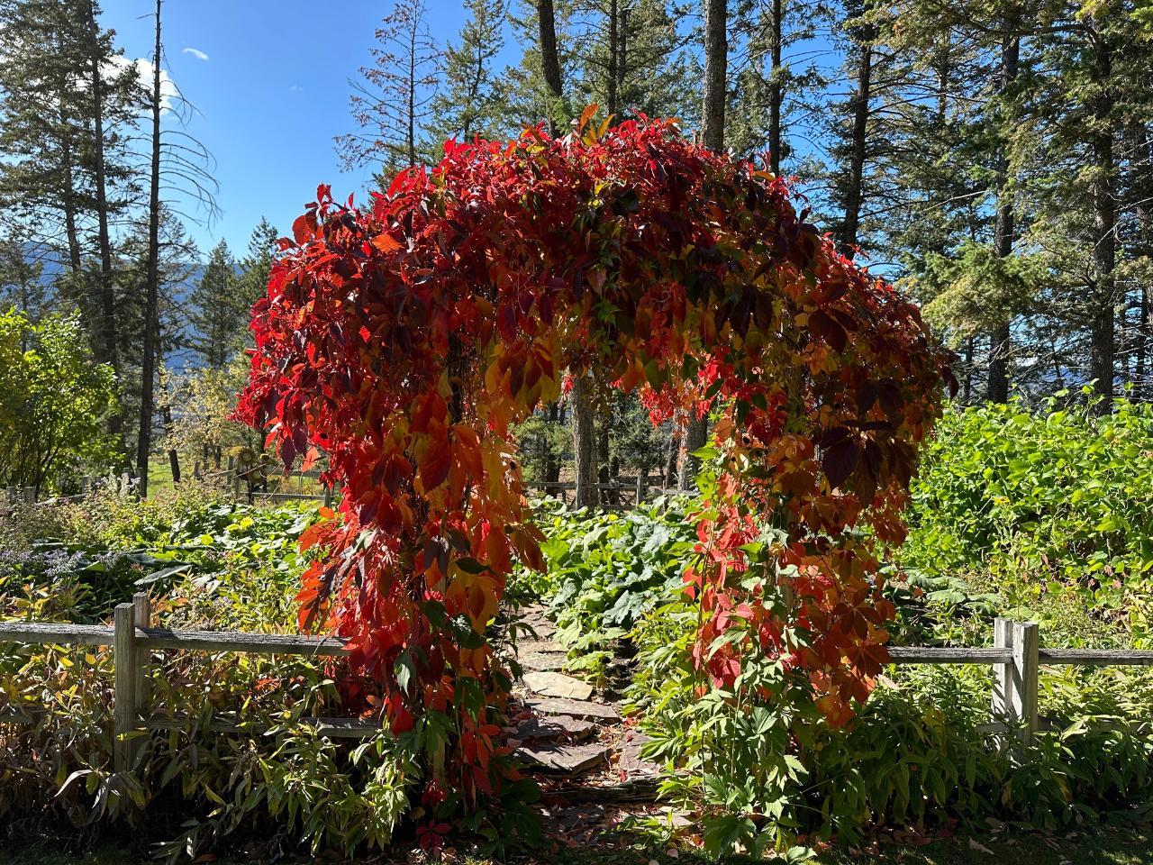 5041 Hewitt Road, Edgewater, British Columbia  V0A 1E0 - Photo 5 - 2475278