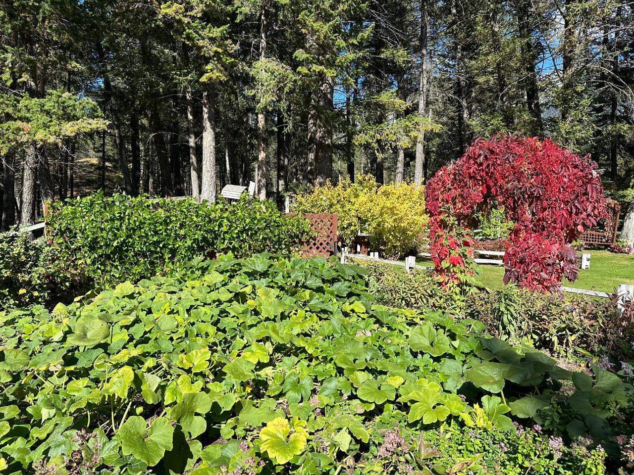 5041 Hewitt Road, Edgewater, British Columbia  V0A 1E0 - Photo 6 - 2475278