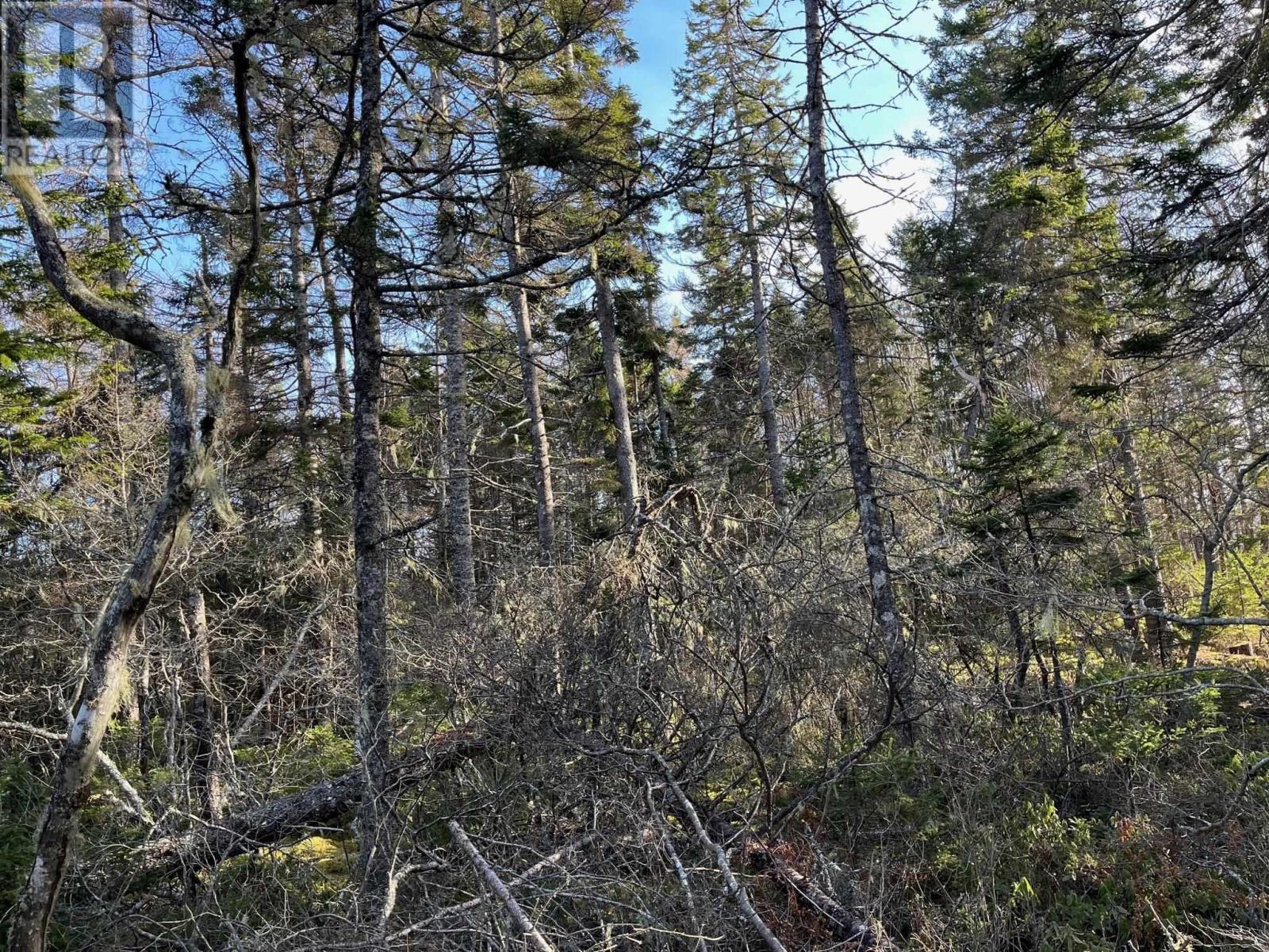 Lorem Ipsum Do, Pleasant Lake, Nova Scotia  B5A  - Photo 10 - DEMO26582310