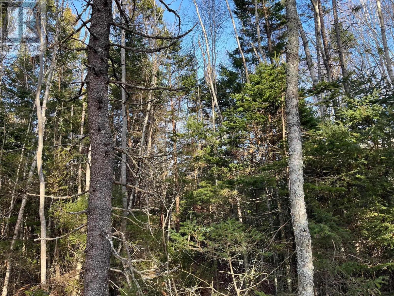 Lorem Ipsum Do, Pleasant Lake, Nova Scotia  B5A  - Photo 11 - DEMO26582310