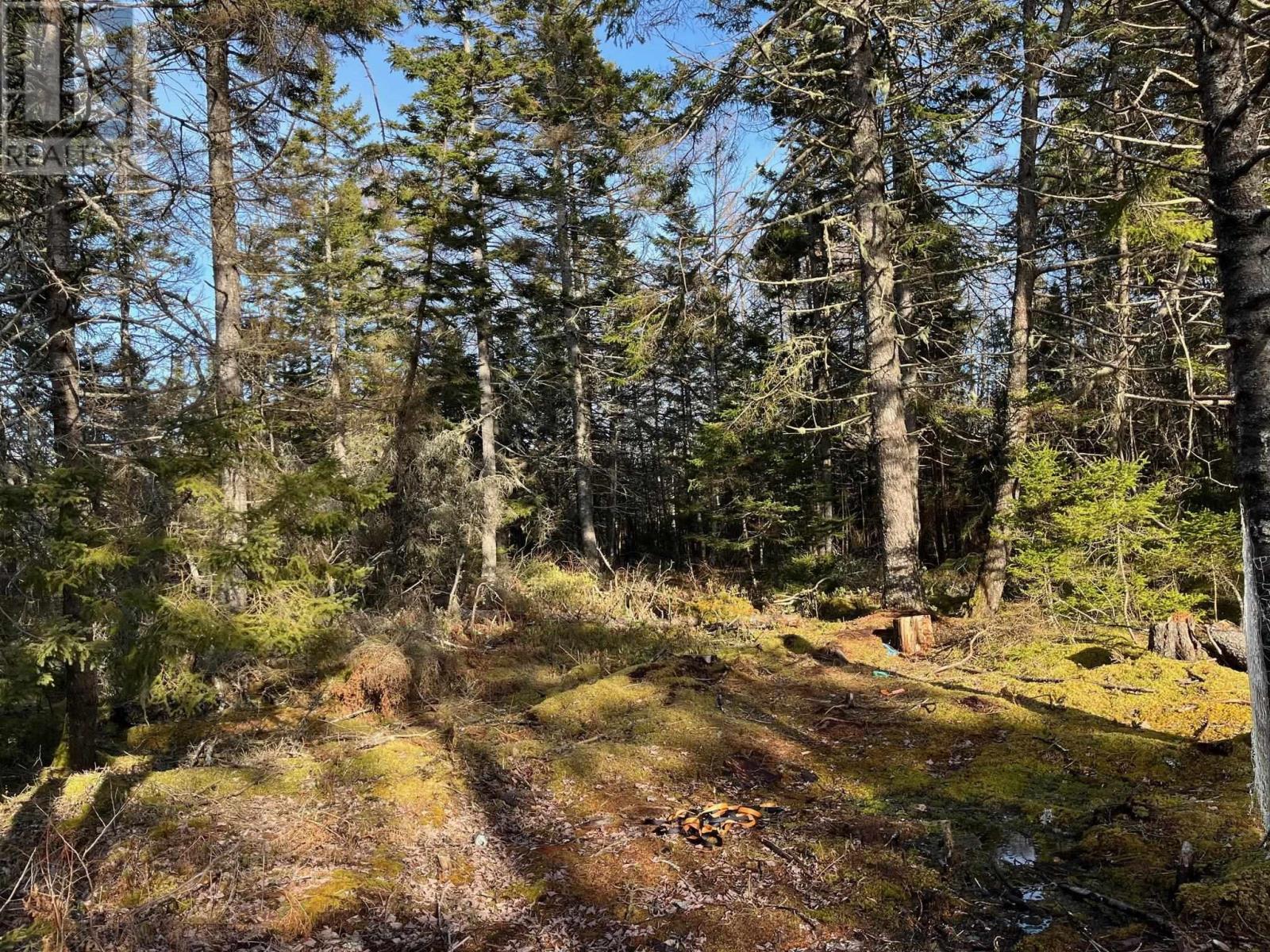 Lot Egypt Road, Pleasant Lake, Nova Scotia  B5A 1L8 - Photo 7 - 202403900