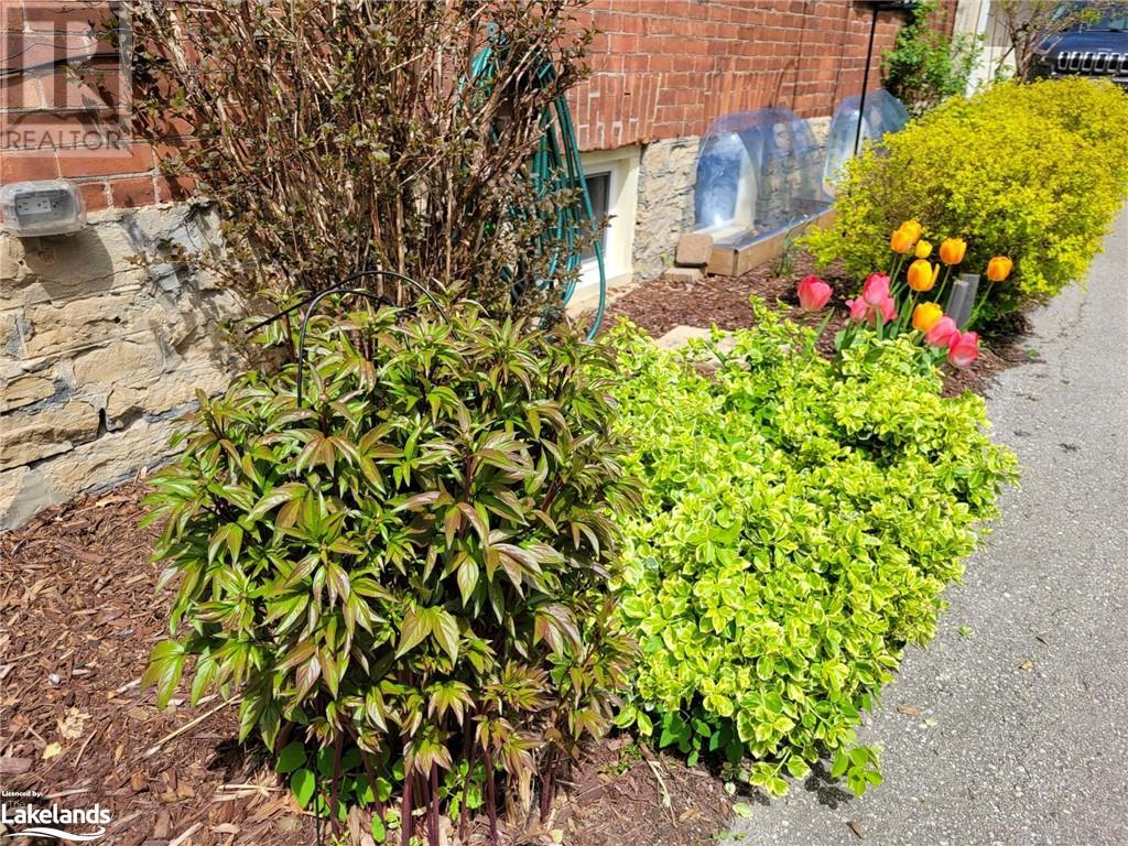 877 5th Avenue E, Owen Sound, Ontario  N4K 2R9 - Photo 40 - 40545522