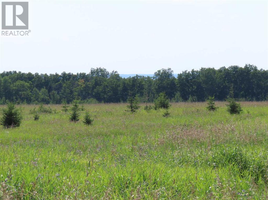 Lorem Ipsum Dolor S, Benalto, Alberta  T0M  - Photo 15 - DEMO26584572