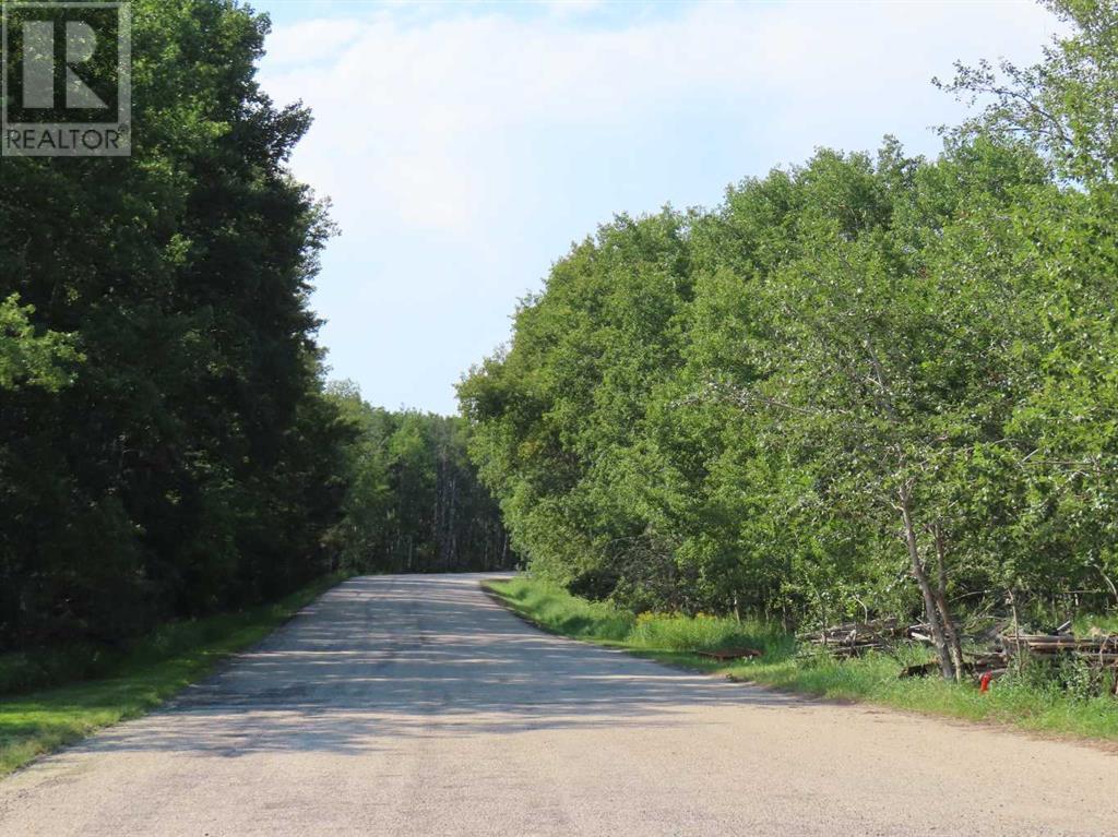Lorem Ipsum Dolor S, Benalto, Alberta  T0M  - Photo 26 - DEMO26584572