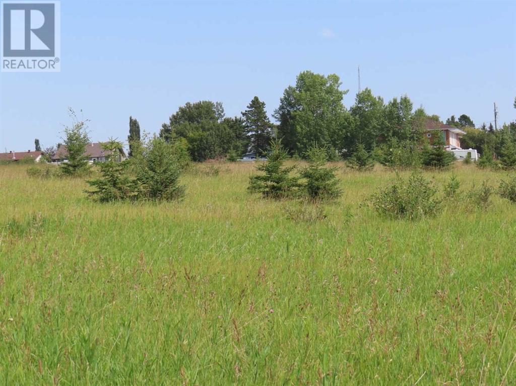 Lorem Ipsum Dolor S, Benalto, Alberta  T0M  - Photo 3 - DEMO26584572