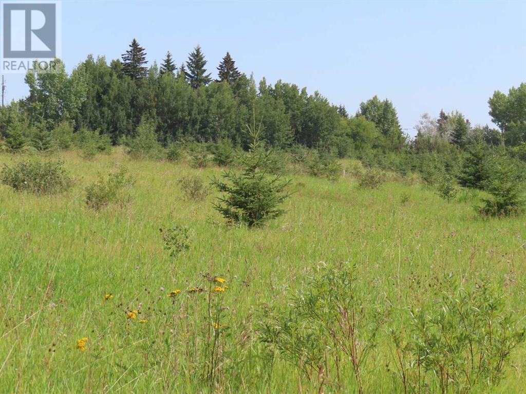 Lorem Ipsum Dolor S, Benalto, Alberta  T0M  - Photo 5 - DEMO26584572