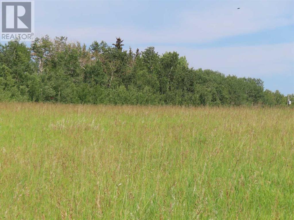 Lorem Ipsum Dolor S, Benalto, Alberta  T0M  - Photo 6 - DEMO26584572