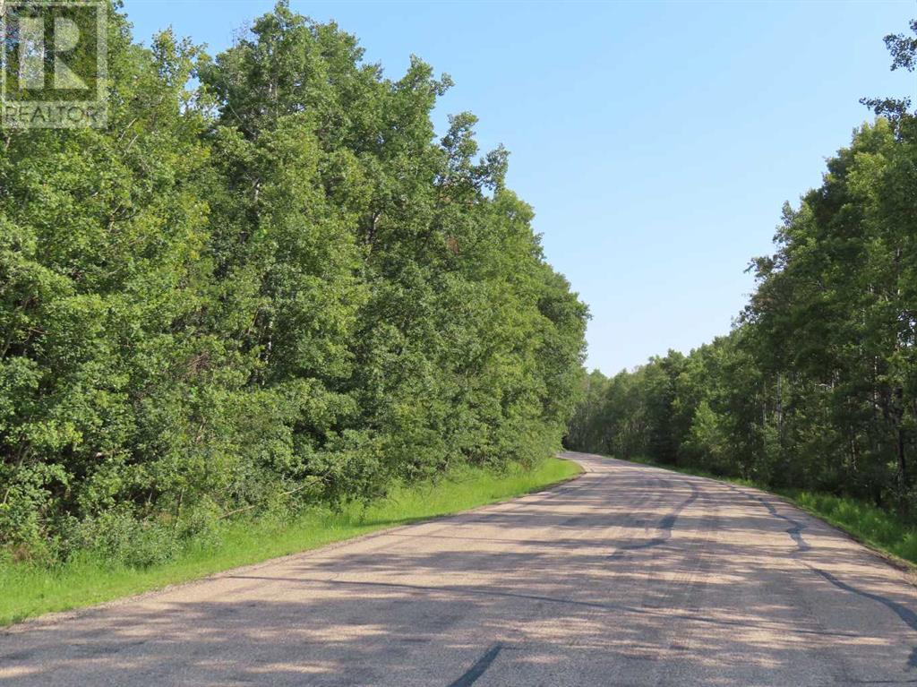 Lorem Ipsum Dolor S, Benalto, Alberta  T0M  - Photo 8 - DEMO26584572