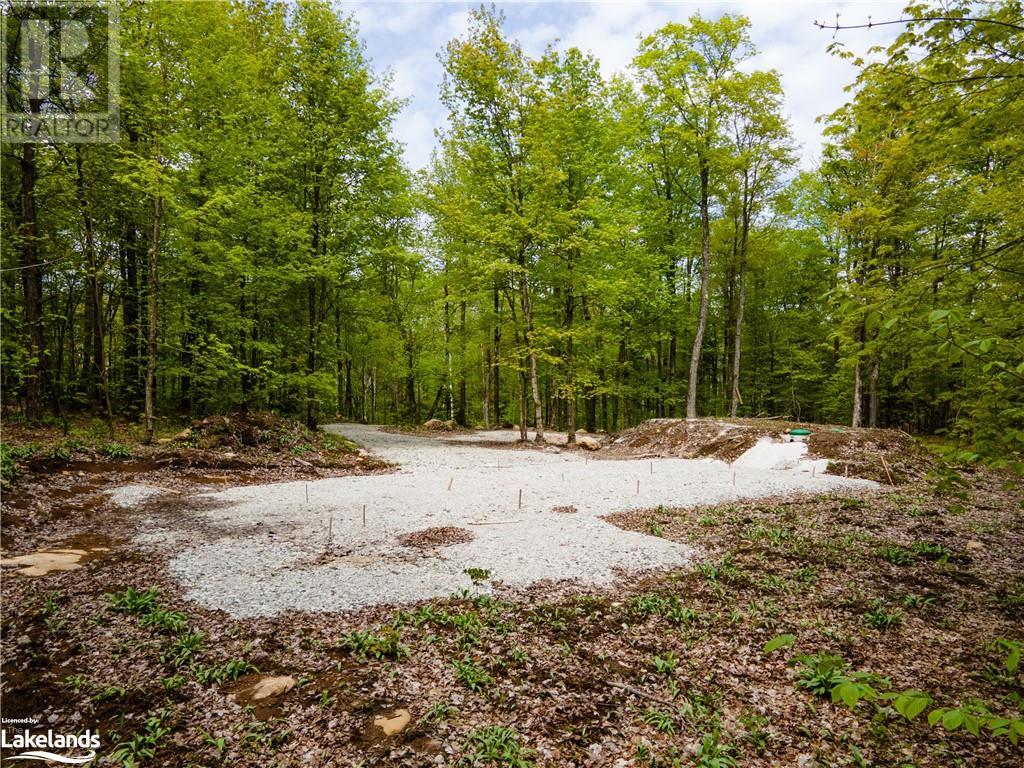 Lot 109 Basshaunt Lake Road, Haliburton, Ontario  K0M 1S0 - Photo 6 - 40547410