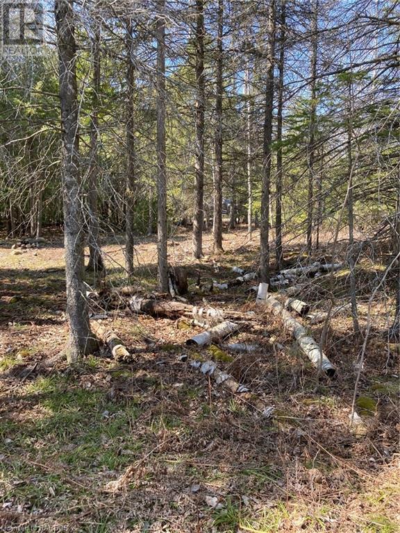 44 Miller Lake Road, Northern Bruce Peninsula, Ontario  N0H 1Z0 - Photo 8 - 40549919