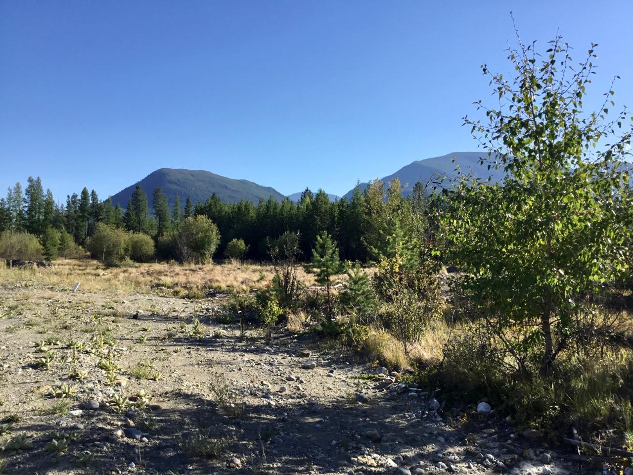 101 Ponderosa View, Kimberley, British Columbia  V1A 0A5 - Photo 1 - 2473301