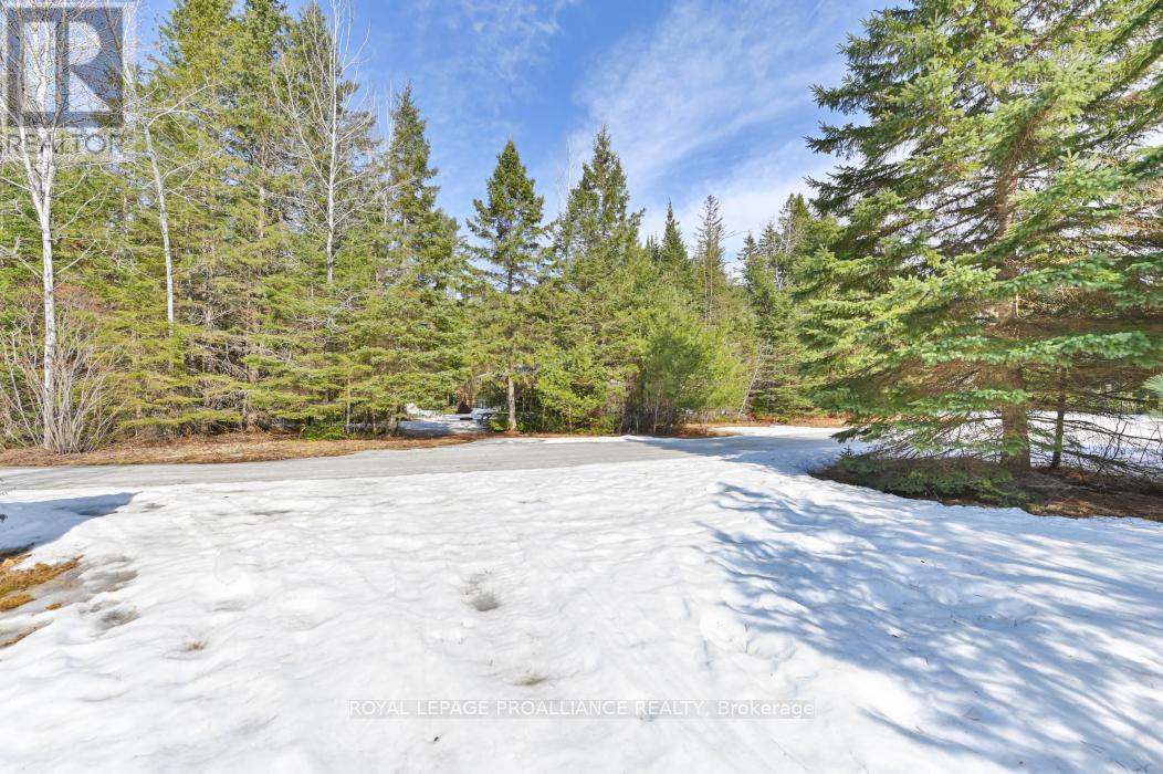 00 Redford Dr, Addington Highlands, Ontario  K0H 1L0 - Photo 5 - X8118154