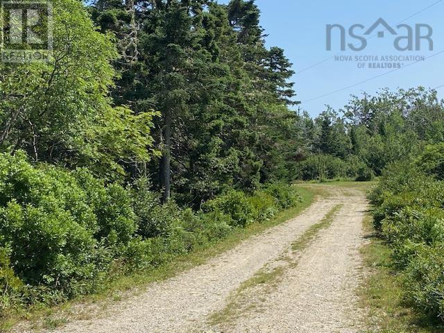 1771 Port Latour Road, Reynoldscroft, Nova Scotia  B0W 1E0 - Photo 7 - 202404037