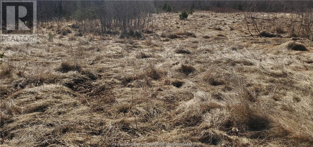 Lot Rive Sud, Cocagne, New Brunswick  E4R 2W9 - Photo 5 - M157779