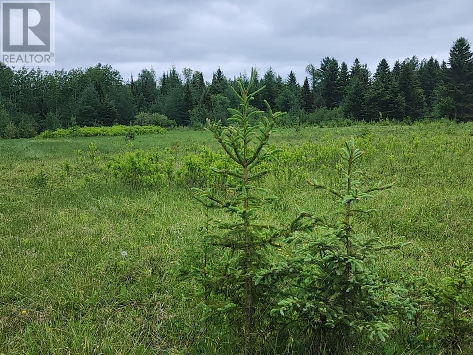 Pcl 8550 Bourkes Rd, Black River-Matheson, Ontario  P0K 1R0 - Photo 10 - TM240402