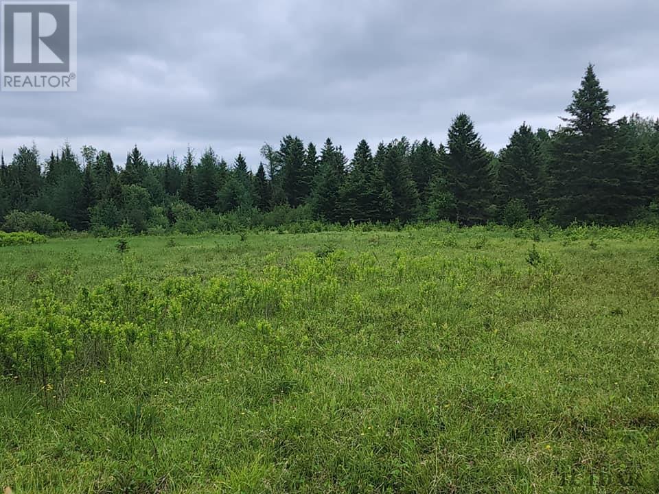 Pcl 8550 Bourkes Rd, Black River-Matheson, Ontario  P0K 1R0 - Photo 11 - TM240402