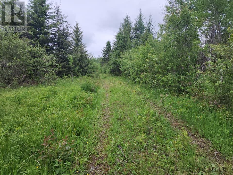 Pcl 8550 Bourkes Rd, Black River-Matheson, Ontario  P0K 1R0 - Photo 13 - TM240402