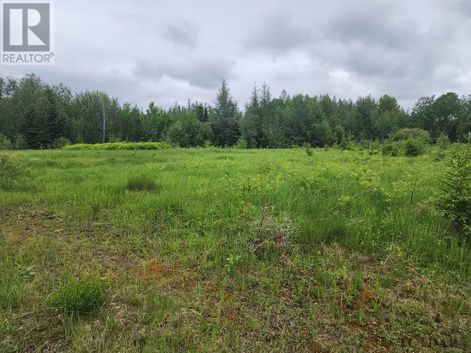 Pcl 8550 Bourkes Rd, Black River-Matheson, Ontario  P0K 1R0 - Photo 14 - TM240402