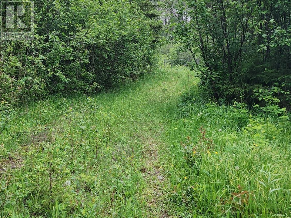 Pcl 8550 Bourkes Rd, Black River-Matheson, Ontario  P0K 1R0 - Photo 15 - TM240402
