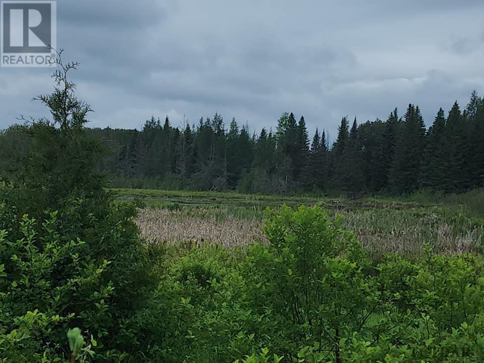 Pcl 8550 Bourkes Rd, Black River-Matheson, Ontario  P0K 1R0 - Photo 16 - TM240402