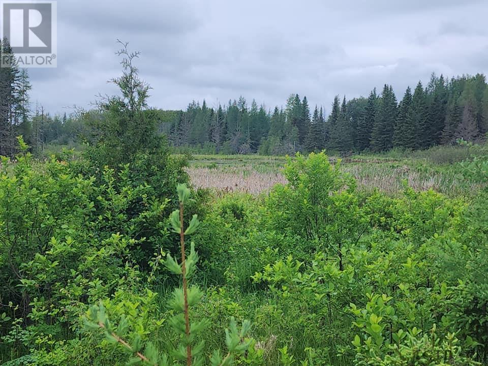 Pcl 8550 Bourkes Rd, Black River-Matheson, Ontario  P0K 1R0 - Photo 17 - TM240402