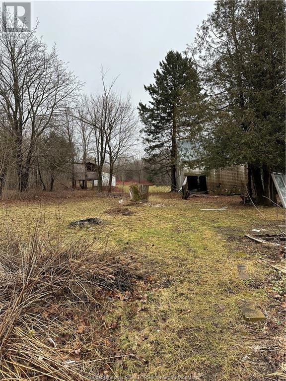 4584 Route 880, Havelock, New Brunswick  E4Z 5K8 - Photo 16 - M157790