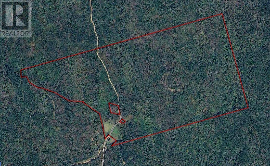 1007 Canaan Road, Canaan, Nova Scotia  B0J 1J0 - Photo 13 - 202404088