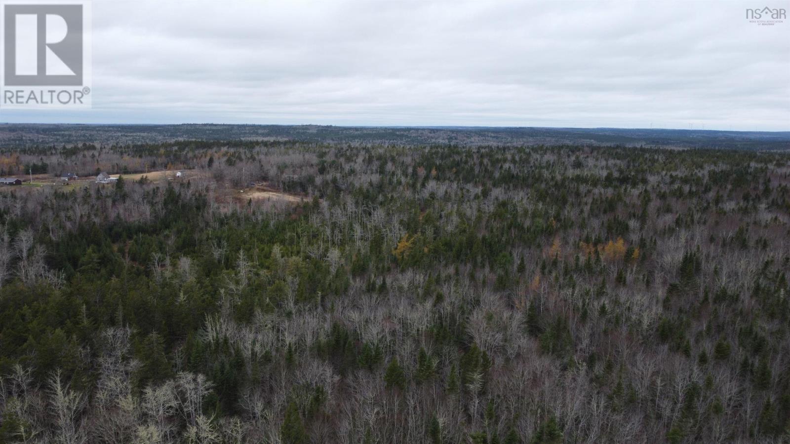 1007 Canaan Road, Canaan, Nova Scotia  B0J 1J0 - Photo 18 - 202404088